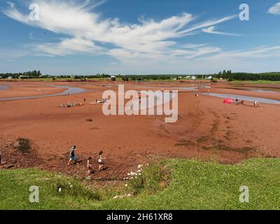 'down east', spiaggia al lloyd inman memorial park, canada, canoa, tempo libero, prince edward island, ricreazione, acqua Foto Stock