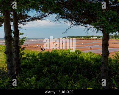 'down east', spiaggia al lloyd inman memorial park, canada, canoa, tempo libero, prince edward island, ricreazione, acqua Foto Stock