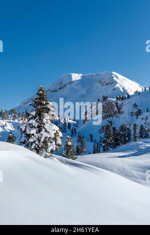 fodara vedla,st. vigil,dolomiti,alto adige,provincia bolzano,italia. paesaggio invernale su fodara vedla con la cima lavinores Foto Stock