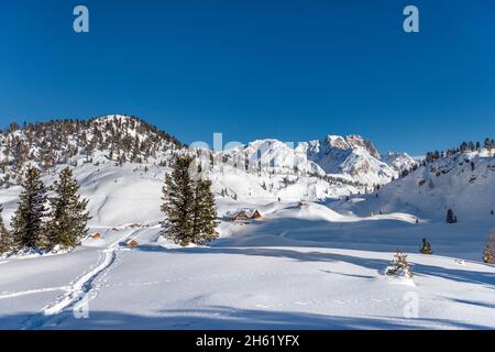 fodara vedla,st. vigil,dolomiti,alto adige,provincia di bolzano,italia. le capanne alpine di fodara vedla nel parco naturale fanes-senes-braies. sullo sfondo il gaisl hohe Foto Stock