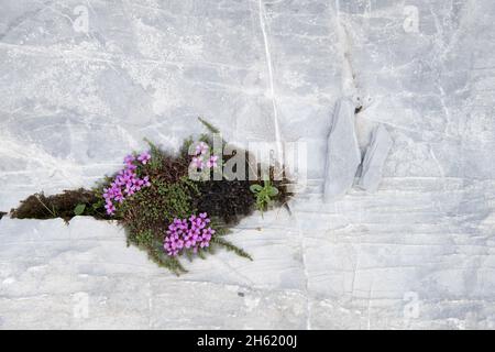 area carsica glattalp,mährenspitz,svizzera Foto Stock