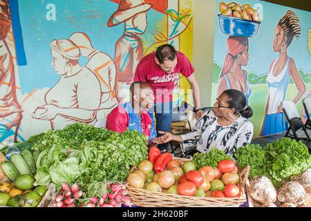 Miami Florida,Little Haiti,Caraibic Market Place Carnival,Black man maschio donna femmina coppia,produrre venditore mercato stalla pomodori verdi murale Foto Stock