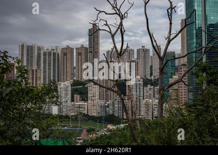 densità di popolazione, boom edilizio a hong kong Foto Stock