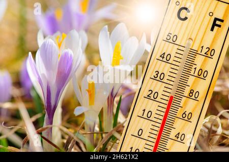 warm temperature in summer Foto Stock