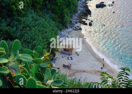 michelino beachTropea Calabria Italia Foto Stock