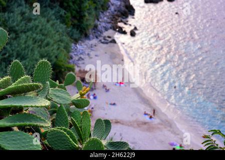 michelino beachTropea Calabria Italia Foto Stock