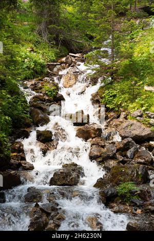 Arosa, Svizzera, 15 agosto 2021 le piccole cascate scendono lungo le alpi Foto Stock