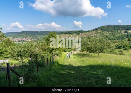 europa,germania,baden-wuerttemberg,regione di schönbuch,breitenholz,escursionisti su un prato di frutteto di fronte al pendio occidentale di schönbuch Foto Stock