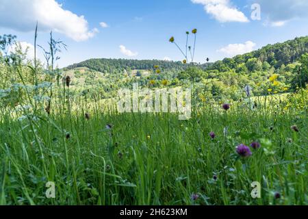 europa,germania,baden-wuerttemberg,regione di schönbuch,breitenholz,vista su un prato selvaggio fino al boscoso occidentale del schönbuch Foto Stock