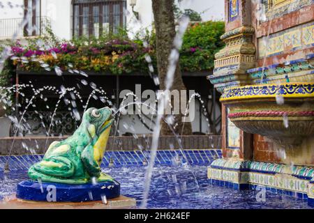 La statua di rana verde riversa l'acqua fuori dalla sua bocca in fontana colorata in Vejer bianco città plaza, Spagna Foto Stock