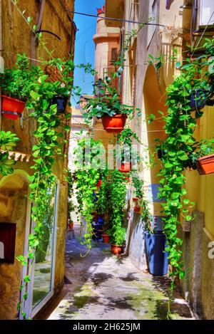 Il centro storico di Tropea Calabria Italia Foto Stock