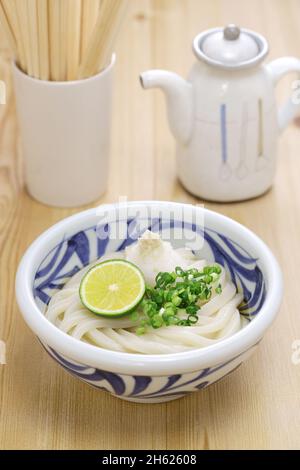 Hiyaoroshi Udon, noodle di udon ghiacciate con ravanello di daikon grattugiato e zuppa di dashi. Cucina giapponese Foto Stock