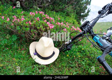 pausa in bicicletta sulla strada per pfeishütte 1922 m, e-bike, cappello da sole, rose alpine, bicicletta, calendario bici, destinazione escursioni via innsbruck accessibile anche via scharnitz, gleirschtal, samertal, parco naturale karwendel, montagne karwendel, innsbruck, tirolo, austria, europa, Foto Stock