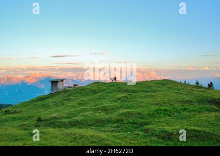 escursione al krüner alm, allevamento di bestiame simmentale di fronte al blocco di gabinetto, tramonto, karwendel, montagne karwendel, europa, germania, baviera, alta baviera, werdenfelser terra, alpenwelt karwendel, valle isar, krün Foto Stock