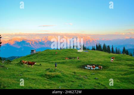 uomo anziano in escursione sul prato alpino del krüner alm, tramonto, karwendel, montagne karwendel, europa, germania, baviera, alta baviera, werdenfelser terra, alpenwelt karwendel, valle isar, krün Foto Stock