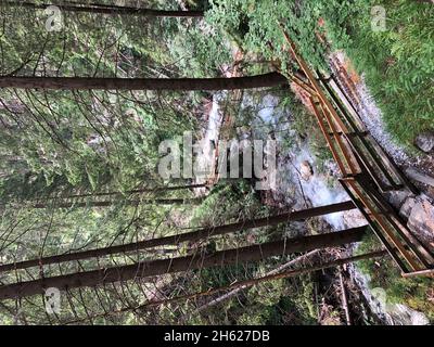 nel gilfenklamm nel ridnauntal,montagne,natura,acqua,rampicanti,sterzing,alto adige,italia Foto Stock