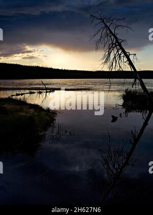 europa,svezia,dalarna,atmosfera autunnale in un lago forestale,idre,riserva naturale städjan-nipfjället,atmosfera serale al lago,pino deadwood Foto Stock