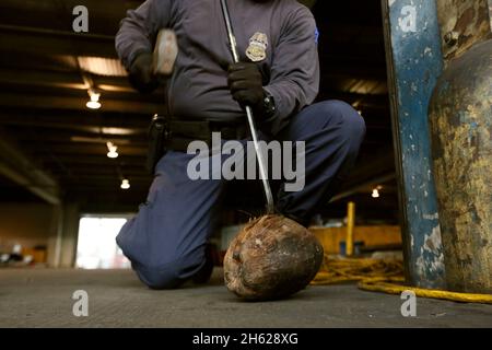 Un funzionario della dogana e della protezione di frontiera degli Stati Uniti usa un bar e un mazzuolo per aprire un cocco mentre ispeziona il carico in arrivo al Porto di Miami in Miami Fl., 07 dicembre 2015. Foto Stock