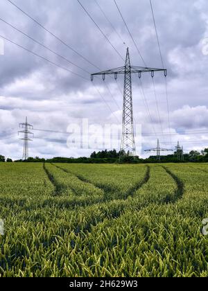 nuvole su campo di mais nel lechfeld Foto Stock