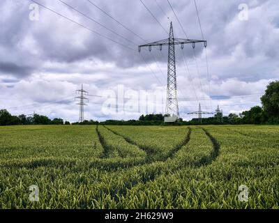 nuvole su campo di mais nel lechfeld Foto Stock