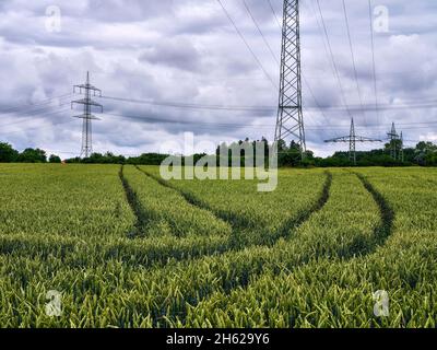 nuvole su campo di mais nel lechfeld Foto Stock