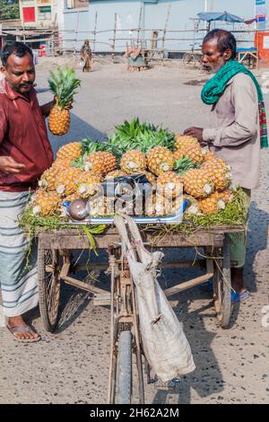 SONA MASJID, BANGLADESH - 11 NOVEMBRE 2016: Venditore di ananas nella zona di Sona Masjid, Bangladesh Foto Stock