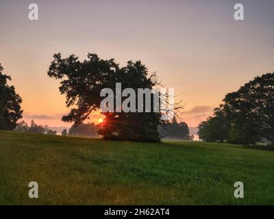 nel parco bernrieder, bernried am starnberger see Foto Stock