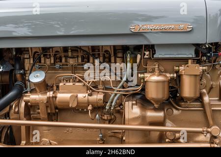 breuberg,hessen,germania,trattore massey-ferguson fe 35,cilindrata 2550 ccm,35 cv,costruito nel 1960 Foto Stock