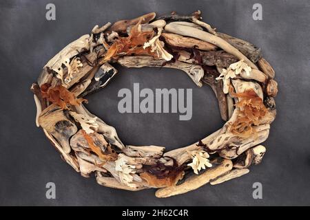Driftwood e alghe astratte cornice ovale bordo su grunge grigio chiazzato. Sfondo di arte marina. Composizione naturale. Vista dall'alto, piatto. Foto Stock