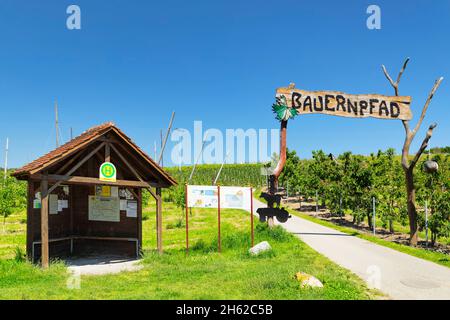 sentiero contadino, percorso didattico frutticolo e vinicolo, kressbronn, lago di costanza, baden-württemberg, germania Foto Stock