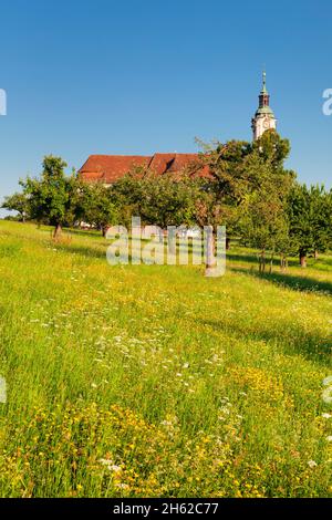 chiesa di pellegrinaggio e monastero di birnau, unteruhldingen, lago di costanza, baden-württemberg, germania Foto Stock