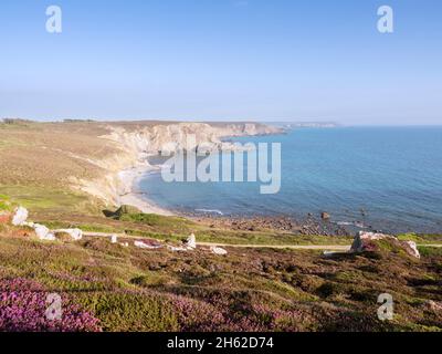 scogliere in bretagna alla luce del sole di sera Foto Stock