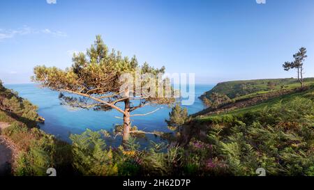 spettacolare passeggiata costiera lungo la penisola di crozon, bretagna Foto Stock