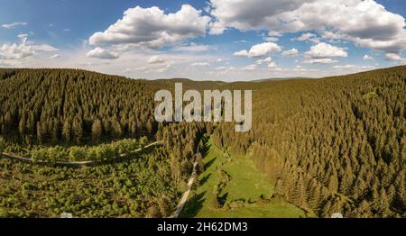 germania,turingia,ilmenau,gehren,foresta,montagne,ruscello,zona rennsteig,panorama Foto Stock