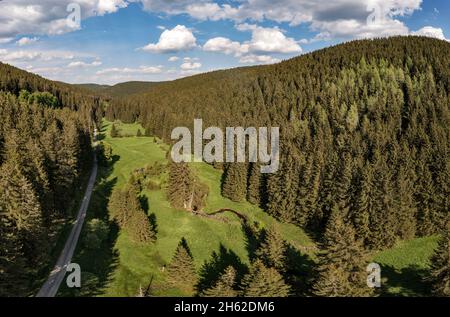 germania,turingia,ilmenau,gehren,foresta,montagne,ruscello,zona di rennsteig Foto Stock