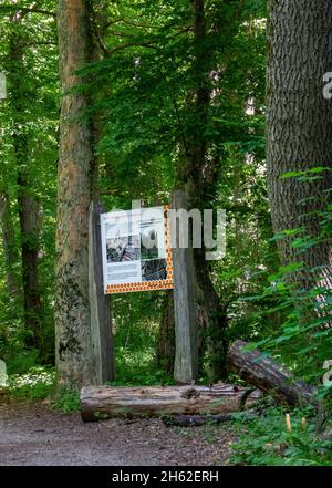 bacheca informativa, possibilità di allevamento delle api selvatiche, su illertisser bienenweg. il percorso inizia presso il museo delle api bavaresi nel castello di vöhlin. il percorso circolare di 8.3 km può essere ridotto a 3.2 km lasciando quattro delle diciassette bacheche informative. Foto Stock