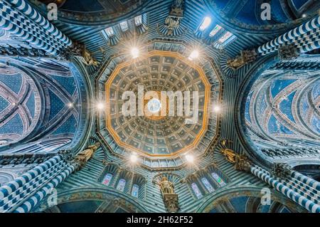 siena,cattedrale di santa maria assunta,la volta della cupola vista interna dal basso verso l'alto,toscana,italia Foto Stock