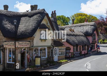 inghilterra, isola di wight, villaggio vecchio di shanklin, il vecchio thatch teashop e matita cottage tea giardino tetto paglia negozi Foto Stock