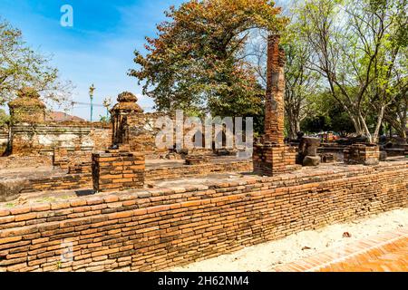 rovine, wat mahathat, wat maha that, complesso tempio buddista, costruito nel 1374 sotto re borommaracha i, ayutthaya parco storico, ayutthaya, thailandia, asia Foto Stock