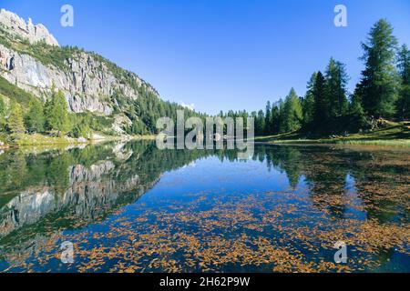 lago alpino federa vicino a croda da lago,particolare di riflessi nell'acqua,cortina d'ampezzo,belluno,veneto,italia Foto Stock