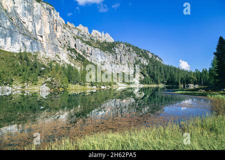 lago alpino federa vicino a croda da lago,particolare di riflessi nell'acqua,cortina d'ampezzo,belluno,veneto,italia Foto Stock