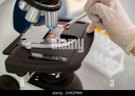L'assistente di laboratorio sta conducendo la ricerca in clinica Foto Stock