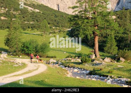 due escursionisti al tramonto su kohlerboden, sotto l'alleranger haus, alleranger alm, alberi alla luce della sera, lafatscher bach, larice, austria, tirolo Foto Stock