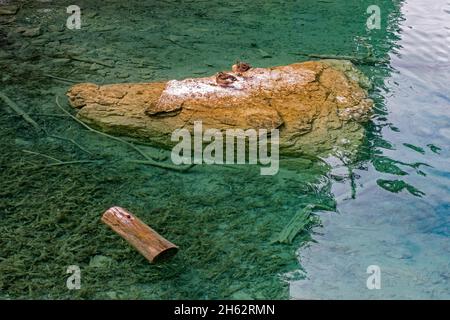 untersee am eibsee,grainau,werdenfelser land,alta baviera,germania Foto Stock