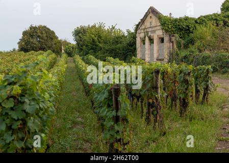 francia, nouvelle-aquitaine, dipartimento della gironda, saint emilion, vigneti nella famosa città del vino di saint emilion, un sito patrimonio mondiale dell'unesco Foto Stock