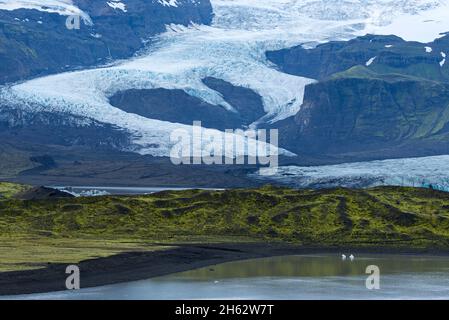 lago del ghiacciaio fjallsarlon e ghiacciaio fjallsjokull, parco nazionale vatnajokull, islanda Foto Stock