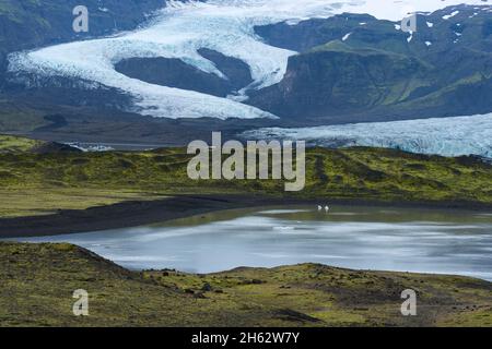 lago del ghiacciaio fjallsarlon e ghiacciaio fjallsjokull, parco nazionale vatnajokull, islanda Foto Stock