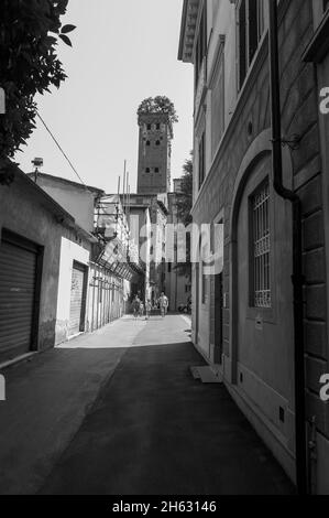 torre guinigi è una delle poche torri rimaste all'interno delle mura cittadine di lucca. Foto Stock