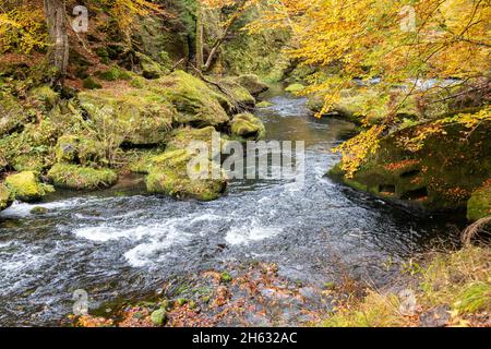 Edmundsklamm Elbsandsteingebirge böhmische Schweiz Foto Stock