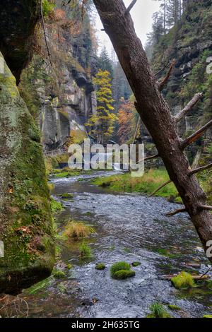 Edmundsklamm Elbsandsteingebirge böhmische Schweiz Foto Stock